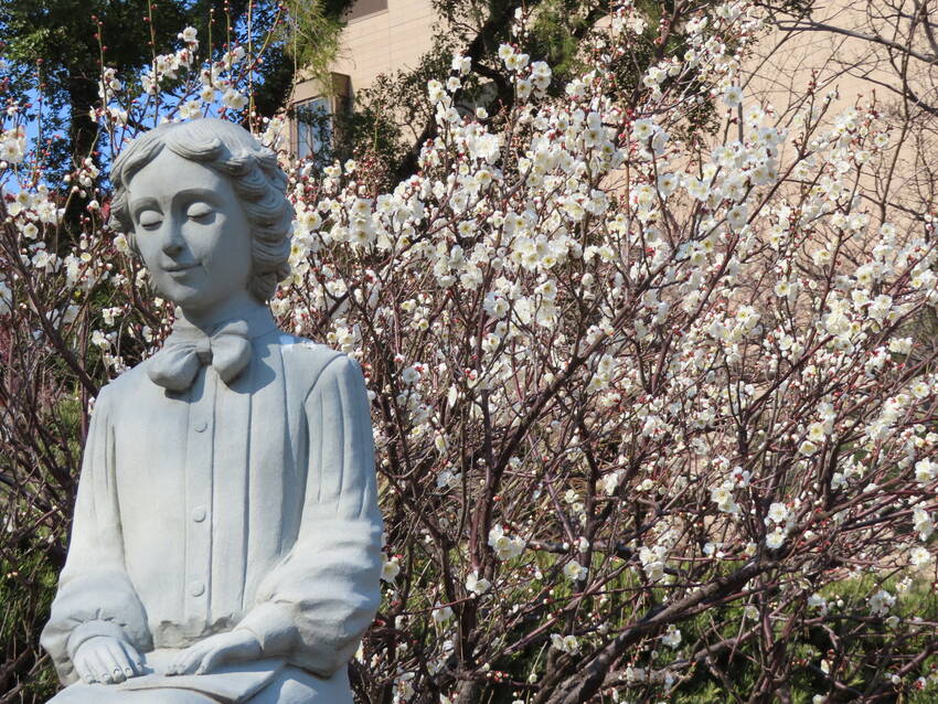 二月の小倉城◇白梅の開花