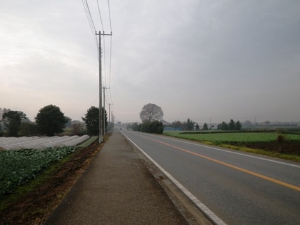 自転車　残り31.9km