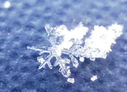 雪の結晶の写真