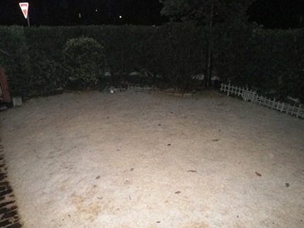 雪