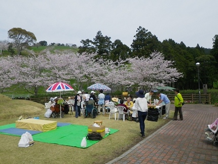 お花見会でジャグリング