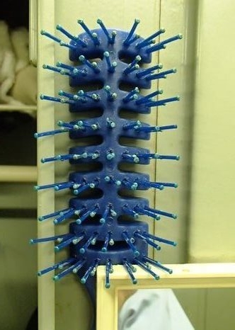 ガイコツブラシ