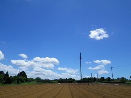 素晴らしく綺麗な青空...