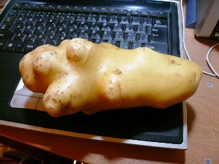 巨大ジャガイモと目標の確認...