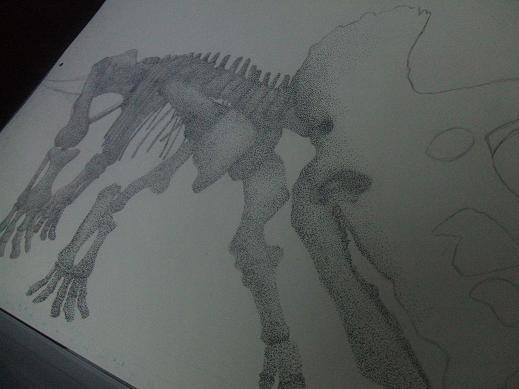骨を描く