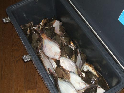 さかな釣った釣った