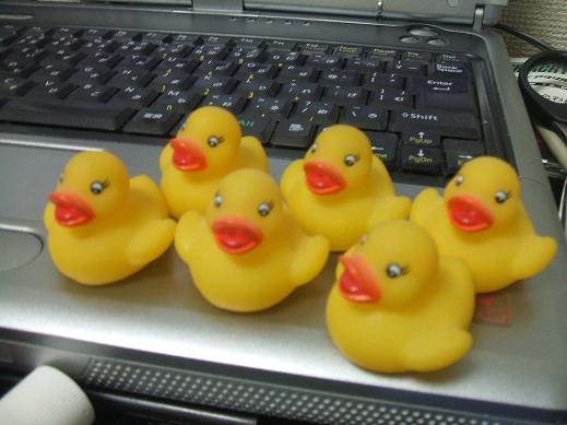 ひなあられもねぇ