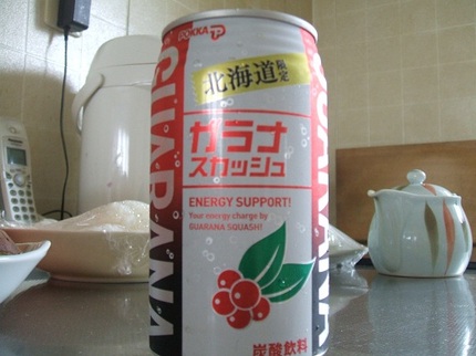 ガラナ飲料とおれ４
