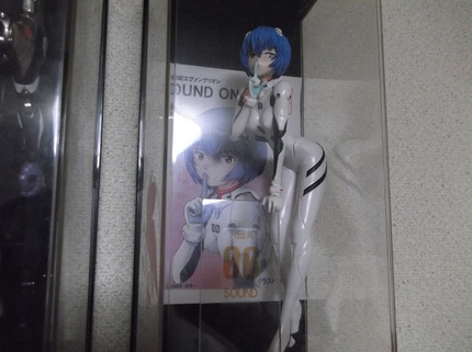 新しいカメラで撮影