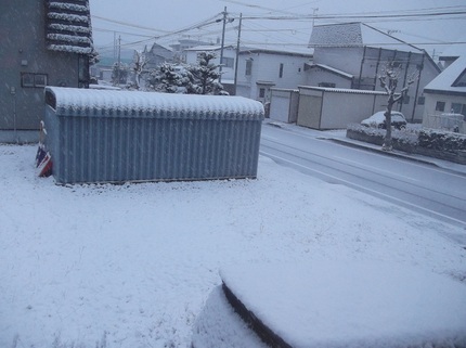 遂に降ってきた
