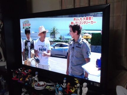 フェレットすげー