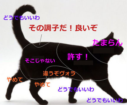 猫問題
