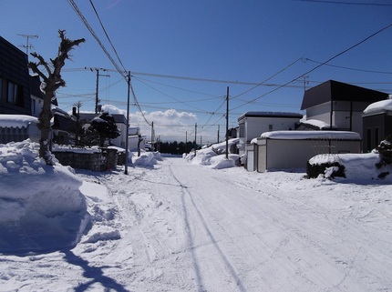 久し振りに外撮影