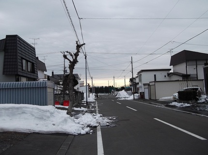 春っぽい