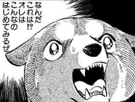 歯は大事