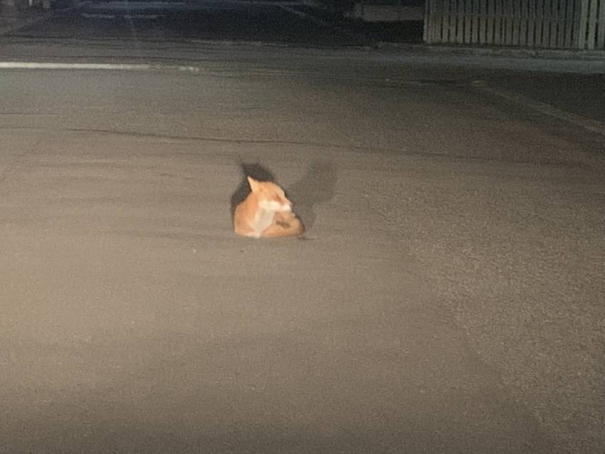 代償は石