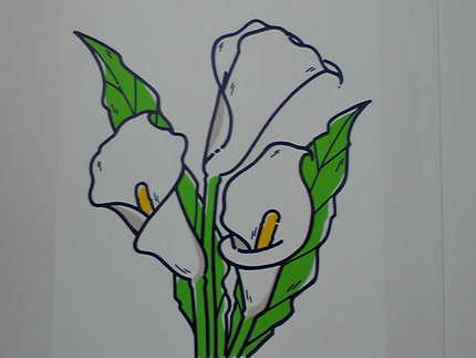 　＜７月の花・カラー＞　　　花...