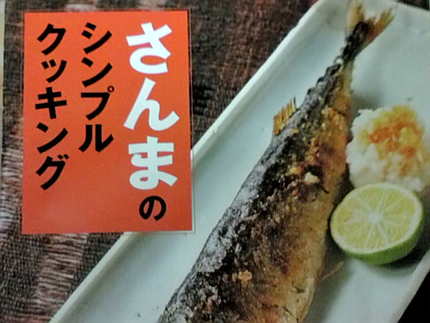 ＜パンフレット＞...