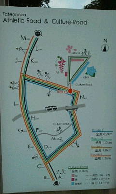 ＜カルチャー道路（Cultur...