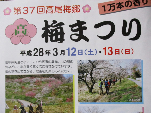 　＜第３７回梅まつり＞