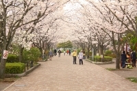 ＜ 綾南公園 ＞...