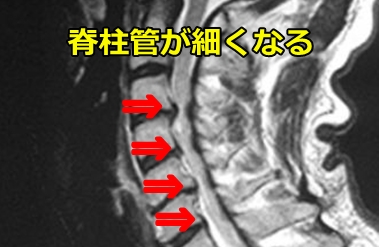 ＜遅かりし由良之助・NO1＞