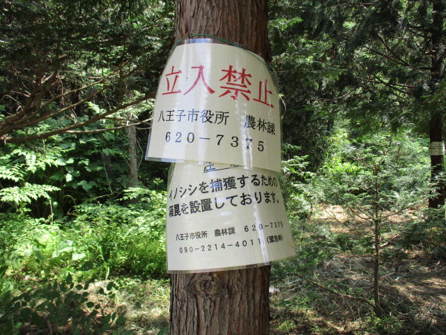 　＜本当にいるのかな？＞