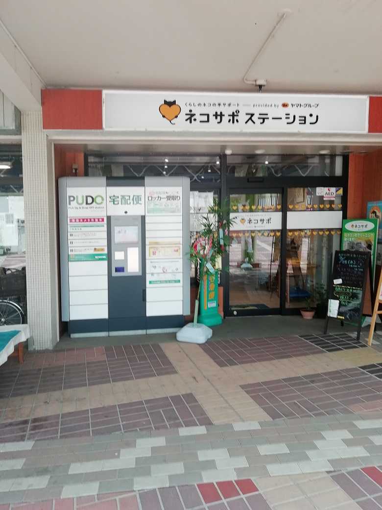 ＜くろねこが来た！＞