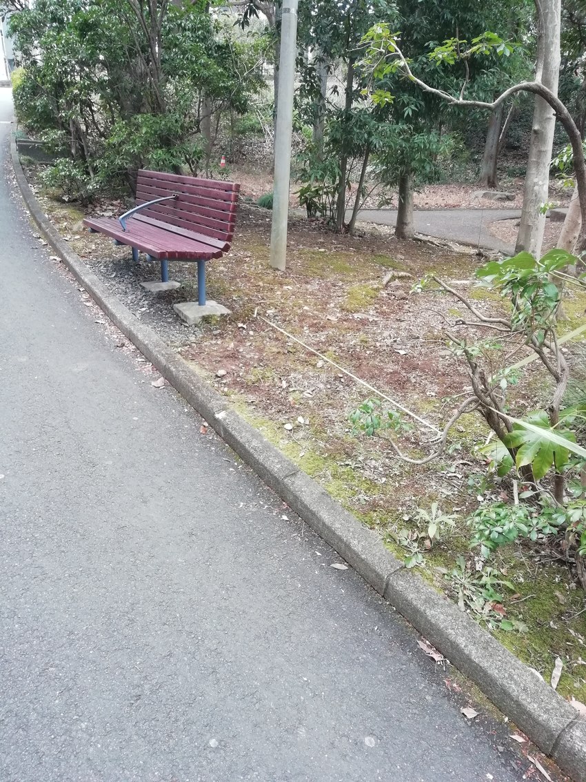 　＜街灯が邪魔で？右側に移動＞