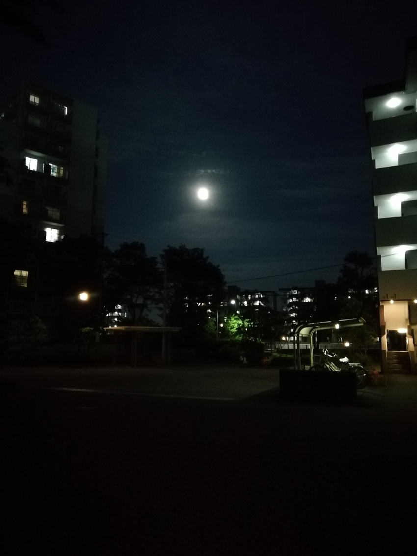 ＜十五夜＞