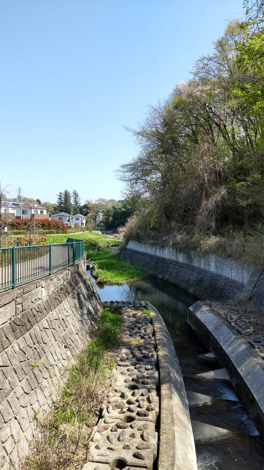 ＜春の小川＞