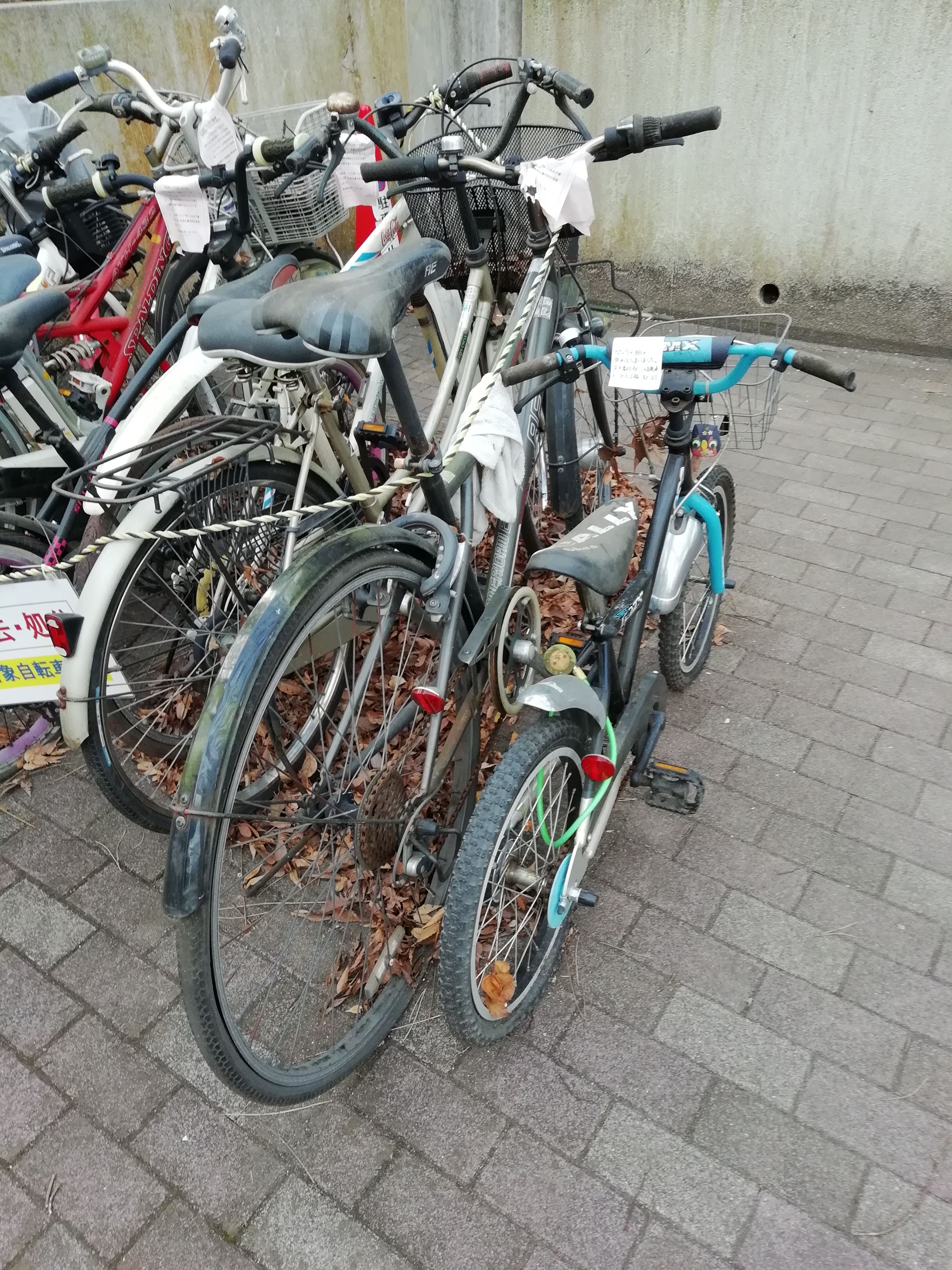 不要 自転車